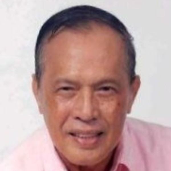 Jose Gilbert Rosales, Vice-Chairman