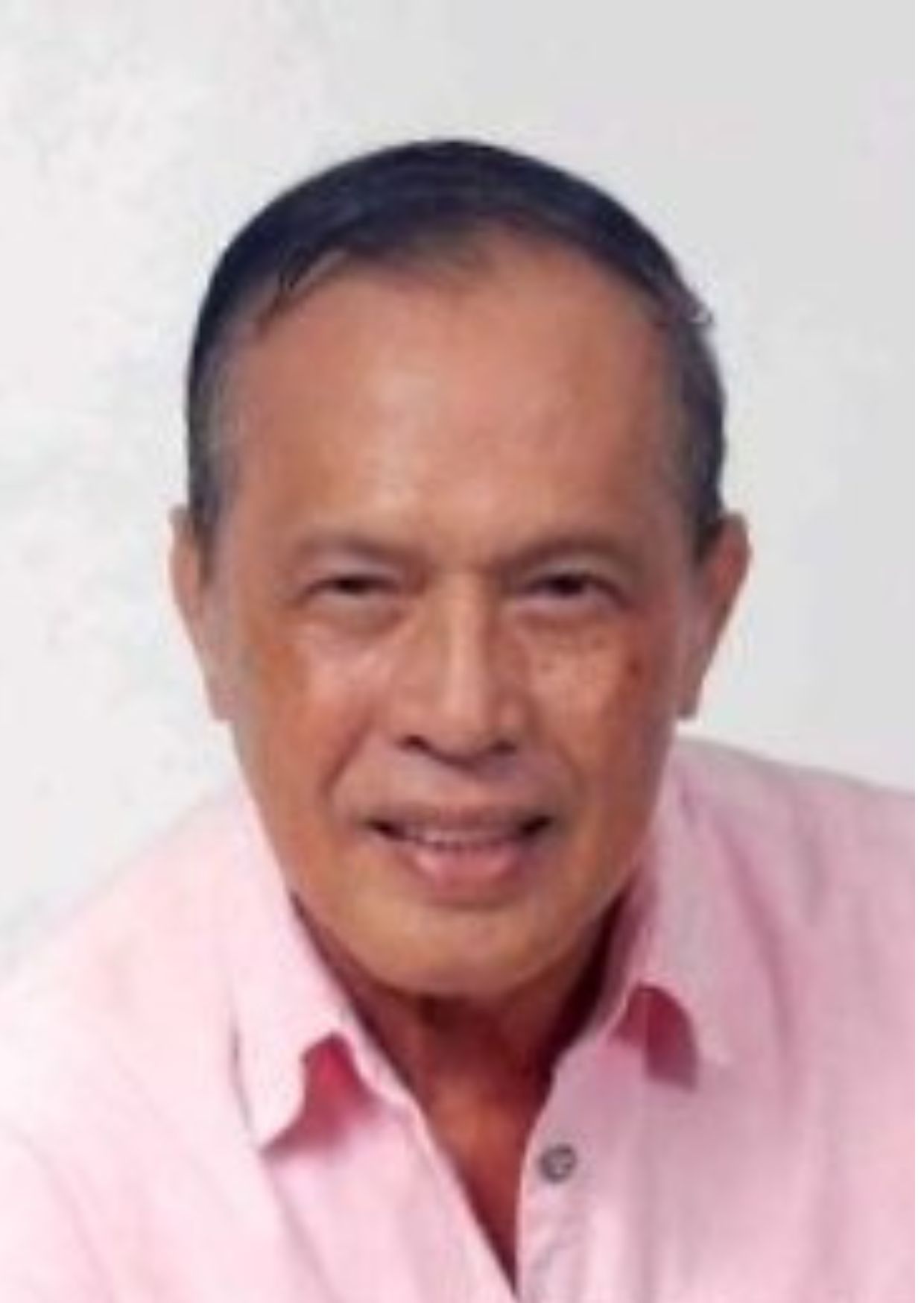 Jose Gilbert Rosales, Vice-Chairman